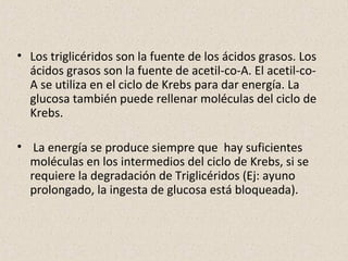 • Los triglicéridos son la fuente de los ácidos grasos. Los
ácidos grasos son la fuente de acetil-co-A. El acetil-co-
A se utiliza en el ciclo de Krebs para dar energía. La
glucosa también puede rellenar moléculas del ciclo de
Krebs.
• La energía se produce siempre que hay suficientes
moléculas en los intermedios del ciclo de Krebs, si se
requiere la degradación de Triglicéridos (Ej: ayuno
prolongado, la ingesta de glucosa está bloqueada).
 