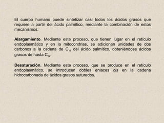 El cuerpo humano puede sintetizar casi todos los ácidos grasos que
requiere a partir del ácido palmítico, mediante la combinación de estos
mecanismos:
Alargamiento. Mediante este proceso, que tienen lugar en el retículo
endoplasmático y en la mitocondrias, se adicionan unidades de dos
carbonos a la cadena de C16 del ácido palmítico, obteniéndose ácidos
grasos de hasta C24.
Desaturación. Mediante este proceso, que se produce en el retículo
endoplasmático, se introducen dobles enlaces cis en la cadena
hidrocarbonada de ácidos grasos suturados.
 