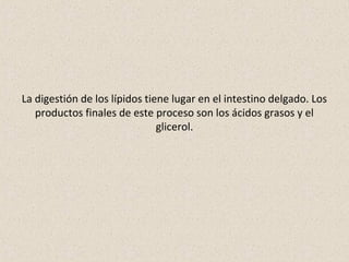 La digestión de los lípidos tiene lugar en el intestino delgado. Los
productos finales de este proceso son los ácidos grasos y el
glicerol.
 