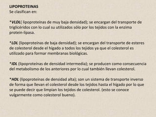 LIPOPROTEINAS
Se clasifican en:
*VLDL( lipoproteínas de muy baja densidad); se encargan del transporte de
triglicéridos con lo cual su utilizados sólo por los tejidos con la enzima
protein-lipasa.
*LDL (lipoproteínas de baja densidad); se encargan del transporte de esteres
de colesterol desde el hígado a todos los tejidos ya que el colesterol es
utilizado para formar membranas biológicas.
*IDL (lipoproteínas de densidad intermedia); se producen como consecuencia
del metabolismo de los anteriores por lo cual también llevan colesterol.
*HDL (lipoproteínas de densidad alta); son un sistema de transporte inverso
de forma que llevan el colesterol desde los tejidos hasta el hígado por lo que
se puede decir que limpian los tejidos de colesterol. (esto se conoce
vulgarmente como colesterol bueno).
 