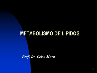 1
METABOLISMO DE LIPIDOS
Prof. Dr. Celso Mora
 