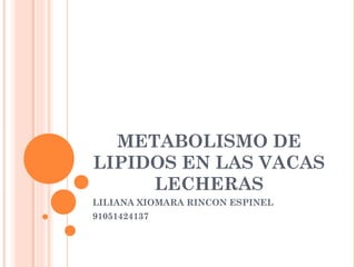 METABOLISMO DE
LIPIDOS EN LAS VACAS
LECHERAS
LILIANA XIOMARA RINCON ESPINEL
91051424137

 