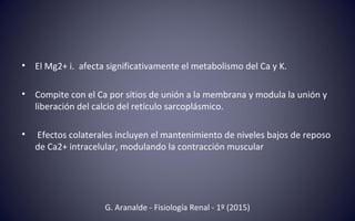 • El Mg2+ i. afecta significativamente el metabolismo del Ca y K.
• Compite con el Ca por sitios de unión a la membrana y modula la unión y
liberación del calcio del retículo sarcoplásmico.
• Efectos colaterales incluyen el mantenimiento de niveles bajos de reposo
de Ca2+ intracelular, modulando la contracción muscular
G. Aranalde - Fisiología Renal - 1º (2015)
 