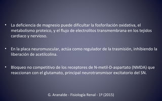 • La deficiencia de magnesio puede dificultar la fosforilación oxidativa, el
metabolismo proteico, y el flujo de electrolitos transmembrana en los tejidos
cardiaco y nervioso.
• En la placa neuromuscular, actúa como regulador de la trasmisión, inhibiendo la
liberación de acetilcolina.
• Bloqueo no competitivo de los receptores de N-metil-D-aspartato (NMDA) que
reaccionan con el glutamato, principal neurotransmisor excitatorio del SN.
G. Aranalde - Fisiología Renal - 1º (2015)
 