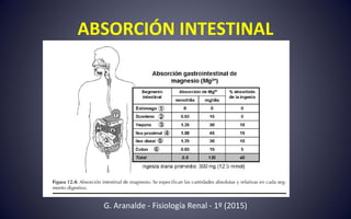 ABSORCIÓN INTESTINAL
G. Aranalde - Fisiología Renal - 1º (2015)
 