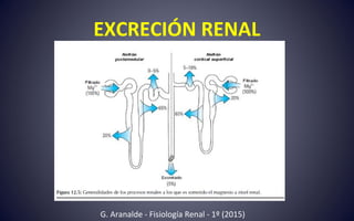 EXCRECIÓN RENAL
G. Aranalde - Fisiología Renal - 1º (2015)
 