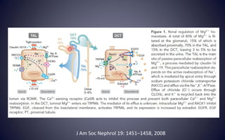 J Am Soc Nephrol 19: 1451–1458, 2008
 