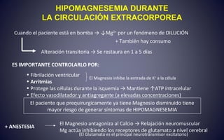 HIPOMAGNESEMIA DURANTE
LA CIRCULACIÓN EXTRACORPOREA
Cuando el paciente está en bomba → ↓Mg2+
por un fenómeno de DILUCIÓN
+ También hay consumo
Alteración transitoria → Se restaura en 1 a 5 días
ES IMPORTANTE CONTROLARLO POR:
• Fibrilación ventricular
• Arritmias
• Protege las células durante la isquemia → Mantiene ↑ATP intracelular
• Efecto vasodilatador y antiagregante (a elevadas concentraciones)
El paciente que prequirurgicamente ya tiene Magnesio disminuido tiene
mayor riesgo de generar síntomas de HIPOMAGNESEMIA
El Magnesio inhibe la entrada de K+
a la célula
+ ANESTESIA
El Magnesio antagoniza al Calcio → Relajación neuromuscular
Mg actúa inhibiendo los receptores de glutamato a nivel cerebral
(El Glutamato es el principal neurotransmisor excitatorio)
 