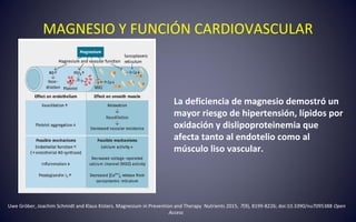 MAGNESIO Y FUNCIÓN CARDIOVASCULAR
Uwe Gröber, Joachim Schmidt and Klaus Kisters. Magnesium in Prevention and Therapy Nutrients 2015, 7(9), 8199-8226; doi:10.3390/nu7095388 Open
Access
La deficiencia de magnesio demostró un
mayor riesgo de hipertensión, lípidos por
oxidación y dislipoproteinemia que
afecta tanto al endotelio como al
músculo liso vascular.
 