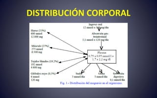 DISTRIBUCIÓN CORPORAL
 