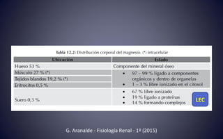 LEC
G. Aranalde - Fisiología Renal - 1º (2015)
 