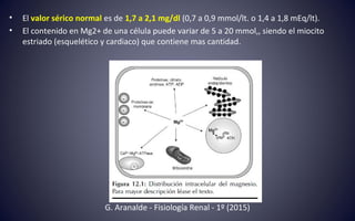 • El valor sérico normal es de 1,7 a 2,1 mg/dl (0,7 a 0,9 mmol/lt. o 1,4 a 1,8 mEq/lt).
• El contenido en Mg2+ de una célula puede variar de 5 a 20 mmol,, siendo el miocito
estriado (esquelético y cardiaco) que contiene mas cantidad.
G. Aranalde - Fisiología Renal - 1º (2015)
 