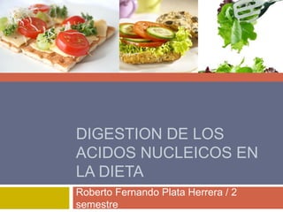 DIGESTION DE LOS
ACIDOS NUCLEICOS EN
LA DIETA
Roberto Fernando Plata Herrera / 2
semestre
 