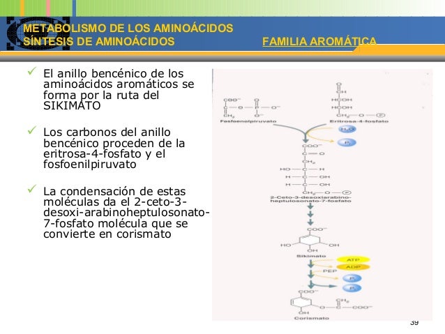 Aprender más sobre como acelerar el metabolismo basal