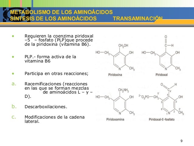metabolismo de acidos grasos opciones