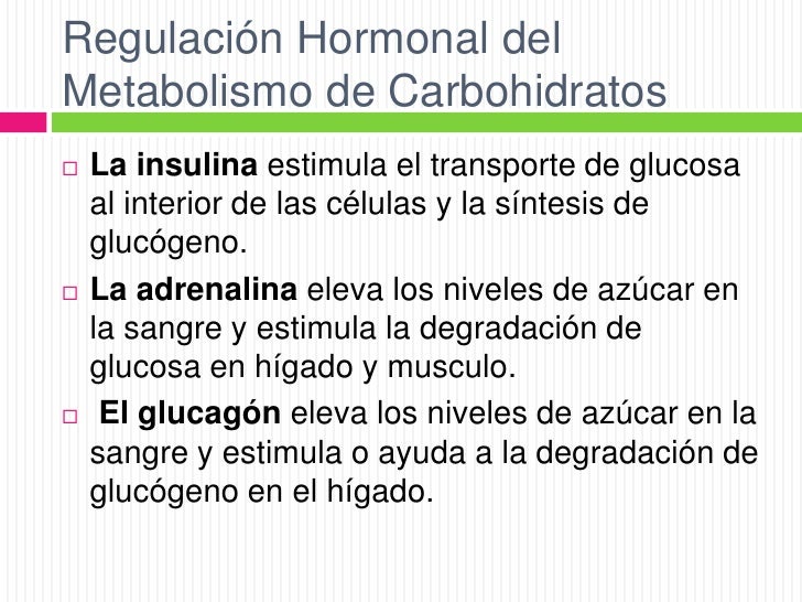 Metabolismo de los carbohidratos