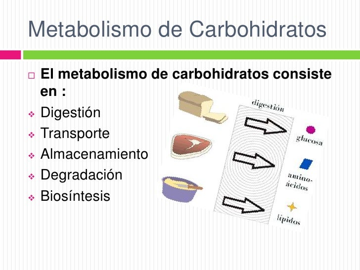 Metabolismo de Carboidratos