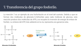 METABOLISMO DE LOS CARBOHIDRATOS RES.pdf