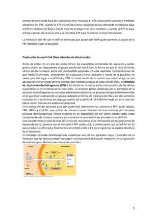 Metabolismo de los carbohidratos (3).pdf | Descarga Gratuita