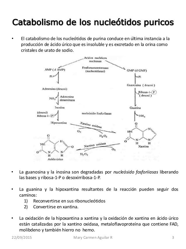 formula para calcular el metabolismo basal medicina natural