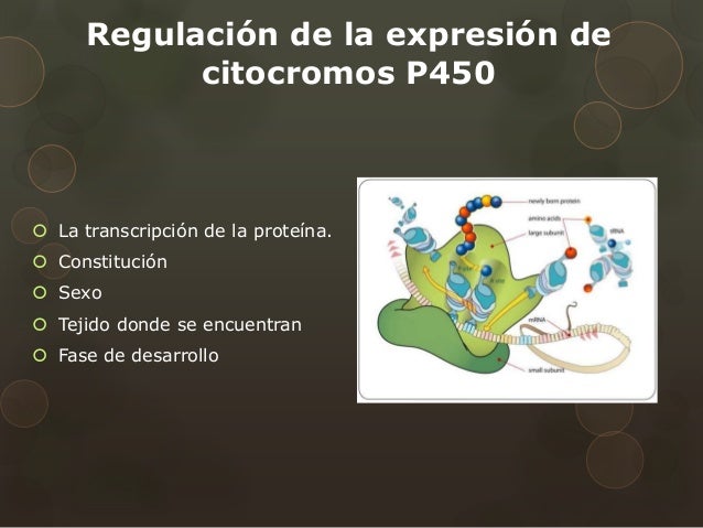 Niños y acelerador del metabolismo en farmacias