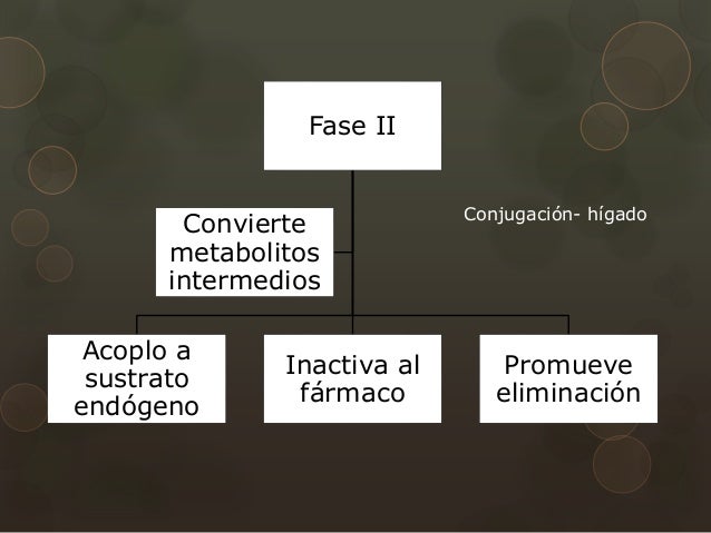 Prácticas para metabolismo del paracetamol
