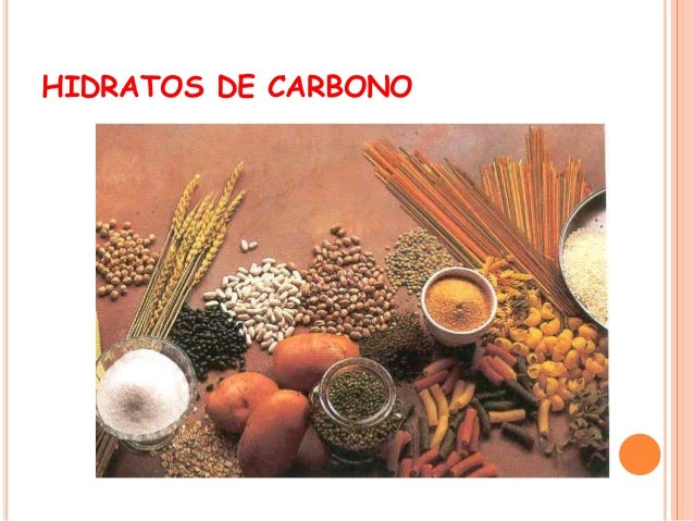 dieta cetogénica epilepsia medicamento