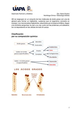 Metabolismo de los Lipidos.pdf