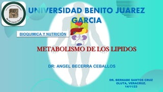 UNIVERSIDAD BENITO JUAREZ
GARCIA
METABOLISMO DE LOS LIPIDOS
DR. BERNABE SANTOS CRUZ
OLUTA, VERACRUZ.
14/11/23
DR: ANGEL BECERRA CEBALLOS
BIOQUIMICA Y NUTRICIÓN
 