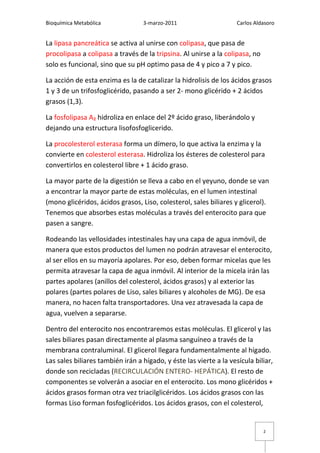Bioquímica Metabólica             3-marzo-2011                      Carlos Aldasoro


La lipasa pancreática se activa al unirse con colipasa, que pasa de
procolipasa a colipasa a través de la tripsina. Al unirse a la colipasa, no
solo es funcional, sino que su pH optimo pasa de 4 y pico a 7 y pico.

La acción de esta enzima es la de catalizar la hidrolisis de los ácidos grasos
1 y 3 de un trifosfoglicérido, pasando a ser 2- mono glicérido + 2 ácidos
grasos (1,3).

La fosfolipasa A₂ hidroliza en enlace del 2º ácido graso, liberándolo y
dejando una estructura lisofosfoglicerido.

La procolesterol esterasa forma un dímero, lo que activa la enzima y la
convierte en colesterol esterasa. Hidroliza los ésteres de colesterol para
convertirlos en colesterol libre + 1 ácido graso.

La mayor parte de la digestión se lleva a cabo en el yeyuno, donde se van
a encontrar la mayor parte de estas moléculas, en el lumen intestinal
(mono glicéridos, ácidos grasos, Liso, colesterol, sales biliares y glicerol).
Tenemos que absorbes estas moléculas a través del enterocito para que
pasen a sangre.

Rodeando las vellosidades intestinales hay una capa de agua inmóvil, de
manera que estos productos del lumen no podrán atravesar el enterocito,
al ser ellos en su mayoría apolares. Por eso, deben formar micelas que les
permita atravesar la capa de agua inmóvil. Al interior de la micela irán las
partes apolares (anillos del colesterol, ácidos grasos) y al exterior las
polares (partes polares de Liso, sales biliares y alcoholes de MG). De esa
manera, no hacen falta transportadores. Una vez atravesada la capa de
agua, vuelven a separarse.

Dentro del enterocito nos encontraremos estas moléculas. El glicerol y las
sales biliares pasan directamente al plasma sanguíneo a través de la
membrana contraluminal. El glicerol llegara fundamentalmente al hígado.
Las sales biliares también irán a hígado, y éste las vierte a la vesícula biliar,
donde son recicladas (RECIRCULACIÓN ENTERO- HEPÁTICA). El resto de
componentes se volverán a asociar en el enterocito. Los mono glicéridos +
ácidos grasos forman otra vez triacilglicéridos. Los ácidos grasos con las
formas Liso forman fosfoglicéridos. Los ácidos grasos, con el colesterol,


                                                                              2
 
