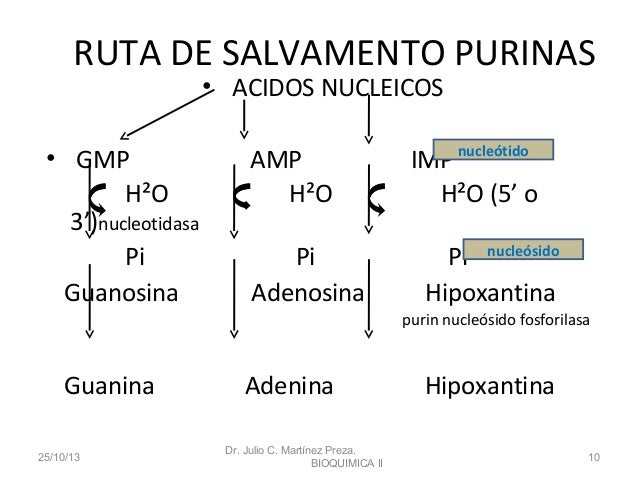 dieta baja en colesterol y trigliceridos medicamento
