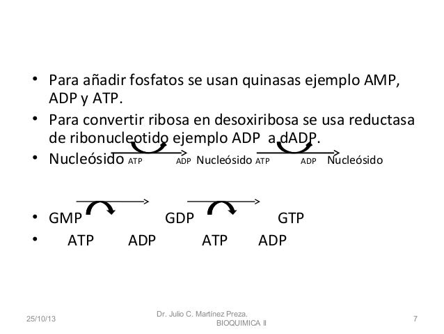funciones del metabolismo cura