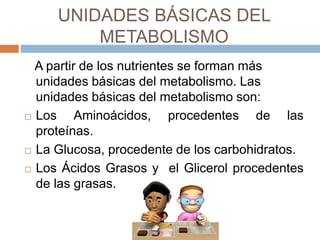 UNIDADES BÁSICAS DEL
METABOLISMO
A partir de los nutrientes se forman más
unidades básicas del metabolismo. Las
unidades básicas del metabolismo son:
 Los Aminoácidos, procedentes de las
proteínas.
 La Glucosa, procedente de los carbohidratos.
 Los Ácidos Grasos y el Glicerol procedentes
de las grasas.
 