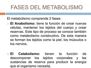FASES DEL METABOLISMO
El metabolismo comprende 2 fases:
 El Anabolismo: tiene la función de crear nuevas
células, mantener los tejidos del cuerpo y crear
reservas. Este tipo de proceso se conoce también
como metabolismo constructivo. De esta manera
se forman los tejidos como la piel, los músculos o
los nervios.
 El Catabolismo: tienen la función de
descomponer los tejidos corporales y las
sustancias de reserva para producir la energía
que el organismo necesita.
 