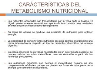 CARÁCTERÍSTICAS DEL
METABOLISMO NUTRICIONAL
 Los nutrientes absorbidos son transportados por la vena porta al hígado. El
hígado posee sistemas enzimáticos capaces de interconvertir unos nutrientes
en otros según las necesidades del organismo.
 En todas las células se produce una oxidación de nutrientes para obtener
energía.
 La posibilidad de convertir unos nutrientes en otros permite al organismo una
cierta independencia respecto al tipo de nutrientes absorbidos del aparato
digestivo.
 En casos concretos de elevadas necesidades de un determinado nutriente, se
pueden saturar las rutas metabólicas para su obtención a partir de los
nutrientes precursores.
 Las reacciones orgánicas que definen el metabolismo humano no son
completamente eficientes, ya que se pierden en forma de calor parte de la
energía que contienen los nutrientes.
 