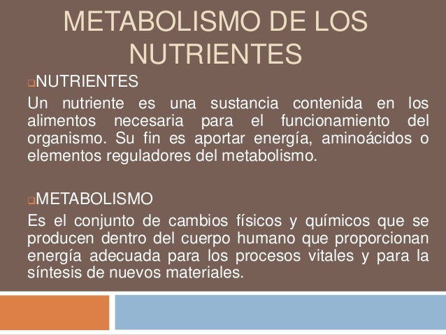 alimentos que aceleran el metabolismo para perder peso suplements
