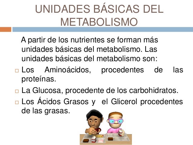 Más en recetas metabolismo acelerado