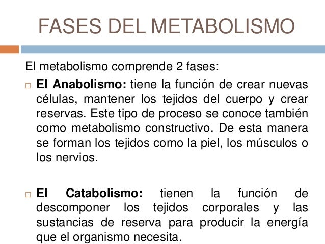 Mejor medicina para regulacion hormonal del metabolismo