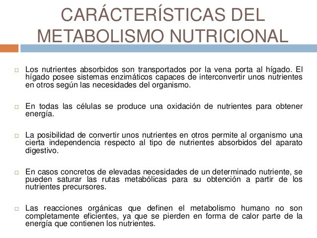 Albert Einstein en que hacer para acelerar el metabolismo