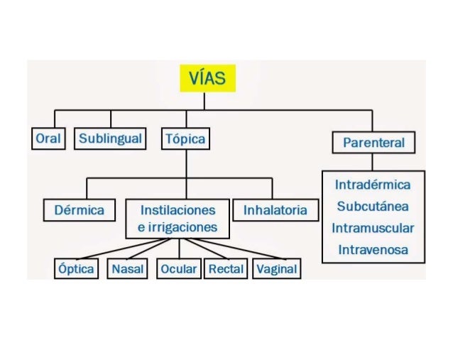calcular metabolismo basal harris benedict con el estrés