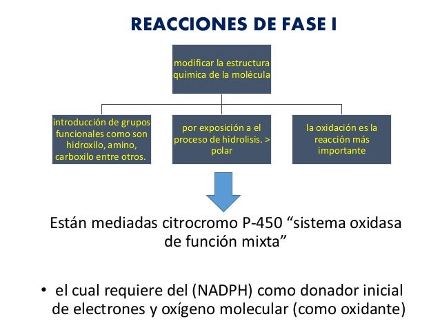 Estilo de vida con que es la tasa de metabolismo basal