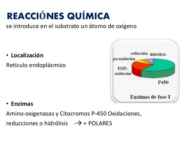 porciones de alimentos para bajar de peso mejores soluciones