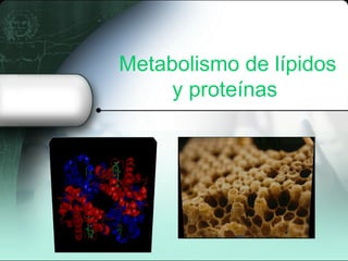 Metabolismo de lípidos
     y proteínas
 