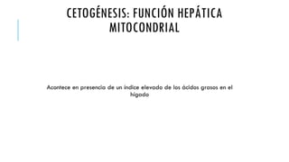 CETOGÉNESIS: FUNCIÓN HEPÁTICA
MITOCONDRIAL
Acontece en presencia de un índice elevado de los ácidos grasos en el
hígado
 