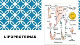 LIPOPROTEINAS
 