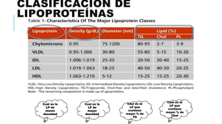CLASIFICACIÓN DE
LIPOPROTEÍNAS
Cual es la
LP de
menor
densidad
Cual es la
LP de
mayor
densidad
Cual es la
LP que
contiene
mayor % de
TG
Cual es la
LP que
contiene
mayor % de
Chol
 