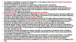 • Los lípidos ( insolubles en agua) se transportan en la sangre como paquetes unidos a proteínas (
apoproteínas) llamados lipoproteínas (LP)
• Las LP se clasifican de acuerdo a su densidad y cada una tiene su función.
• Las Apoproteínas no solamente cumplen un papel estructural , además intervienen en el
metabolismo de las mismas, en el que ejercen distintas funciones, actuando como activadoras e
inhibidoras de enzimas e interaccionan con receptores celulares específicos. Actualmente son
conocidas las Apo: A, B, C, D, E, F y G
• Los quilomicrones (QM) llevan lípidos de la digestión al hígado .
• Cuando los lípidos procedentes de la digestión (1) entran a la circulación (2) se forman los QM, que
transportan estos lípidos (3). Mientras estos QM se encuentran en los capilares del tejido Adiposo y
muscular , descargan parte de los triglicéridos (TG) (4).
• Una lipoproteína lipasa (LPL) cataliza la hidrolisis de los TG. El tejido adiposo absorbe los ácidos
grasos, y el glicerol resultante lo reconstituye como TG que se almacenan hasta que se necesitan.
• Este proceso deja residuos de quilomicrones llamados remanentes (RM) (5) ahora mas ricos en
colesterol. El hígado tiene receptores para estos RM que ayuda para que se absorba(6).
• El hígado puede recibir y formar colesterol por lo que forma a las VLDL (7), estas LP transportan
ahora los lípidos al tejido adiposo y los músculos (8). Estos tejidos extraen la mayor parte de los TG
a través de la enzima LPL , lo que produce un complejo lipoproteico con una densidad ligeramente
mas alta llamado IDL (9).
• Las proteínas receptoras hepáticas captan a las IDL, lo cual ayuda a recuperar estos complejos
(10). El IDL que no se reabsorbe aquí, sufre perdidas adicionales de TG, lo cual causa aumento de
su densidad formándose las LDL (11).
• Las proteínas receptoras capturan una buena parte de LDL(12), y la otra parte llega a los tejidos
periféricos (13)como las glándulas suprarrenales. Por lo tanto, el LDL transporta al colesterol
adondequiera que se necesite, para formar membranas celulares u hormonas esteroideas.
• Las HDL son sintetizadas en el hígado y realizan el transporte reverso del colesterol al hígado (14 y
15).
 