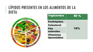 LÍPIDOS PRESENTES EN LOS ALIMENTOS DE LA
DIETA
Triglicéridos 90 %
Fosfolípidos
10%
Colesterol
Fito
esteroles
Vitaminas
liposolubles
 