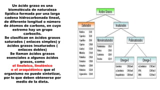 Un ácido graso es una
biomolécula de naturaleza
lipídica formada por una larga
cadena hidrocarbonada lineal,
de diferente longitud o número
de átomos de carbono, en cuyo
extremo hay un grupo
carboxilo.
Se clasifican en ácidos grasos
saturados ( enlaces simples) y
ácidos grasos insaturados (
enlaces dobles)
Se llaman ácidos grasos
esenciales a algunos ácidos
grasos, como
el linoleico, linolénico
o el araquidónico que el
organismo no puede sintetizar,
por lo que deben obtenerse por
medio de la dieta.
 