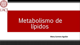 Mary Carmen Aguilar
Metabolismo de
lípidos
 